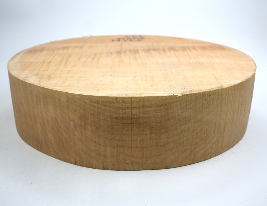 Maple Flame Round, Figured, 14" x 3.5" Thick - Stock #40447